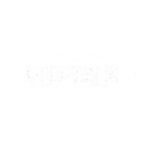 LoudVision logo